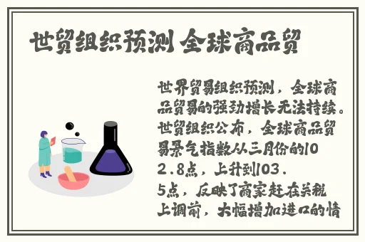 中国大叔武警Gary的职业经历